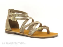 Tropeziennes PHARELL Beige Or - 23084 - Sandale Montante Tong -Chaussures Séries Magasin cd24607c73b9e66c561f35ea11d5d5ef img 2382.jpg 149331